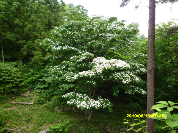 P1060121