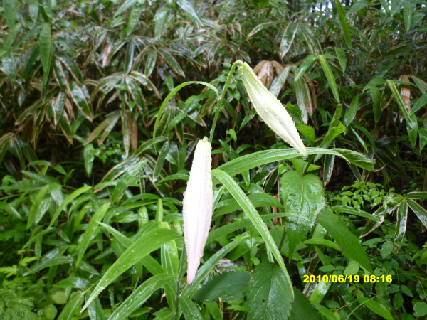 P1060139