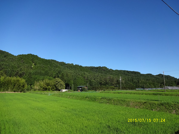 DSC02562 DSC02562